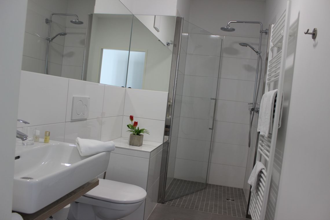 Badezimmer im Minihotel, Wachbecken, WC und Dusche, Spiegel